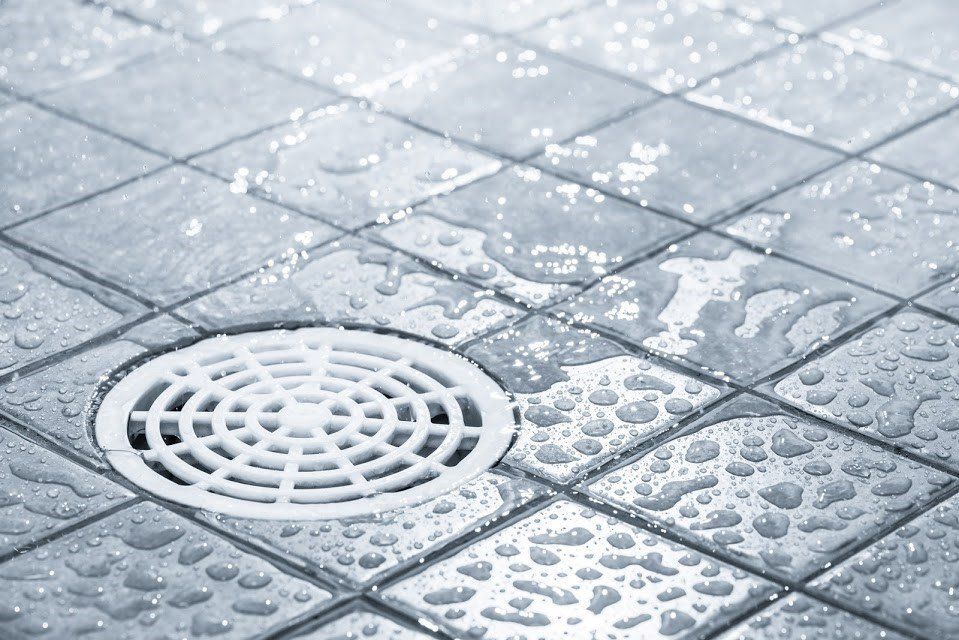 4 Common Culprits of A Clogged Shower Drain - The Waterworks
